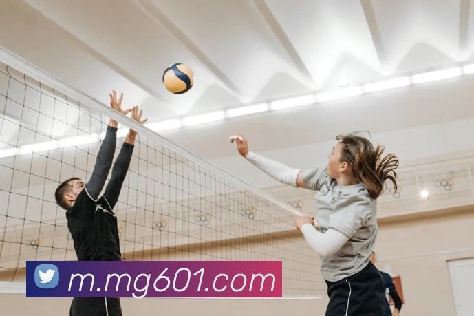 MG娱乐平台官网APP 高清赛事图